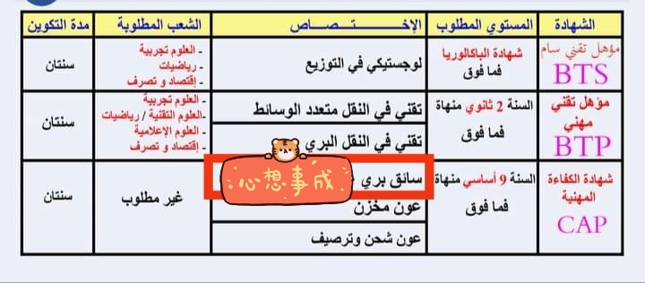 تكوين في سياقة الشاحنات الثقيلة في برج السدرية 2024 2025